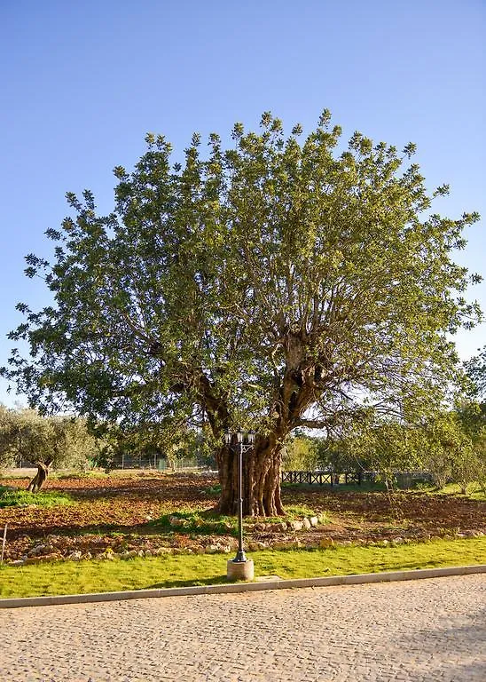 Farm stay Quinta Dos Tesouros Villa Sao Bras de Alportel